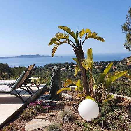 Villa Pretty House With Sea View On The Hy Res Hyères Esterno foto